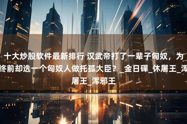十大炒股软件最新排行 汉武帝打了一辈子匈奴，为何临终前却选一个匈奴人做托孤大臣？_金日磾_休屠王_浑邪王